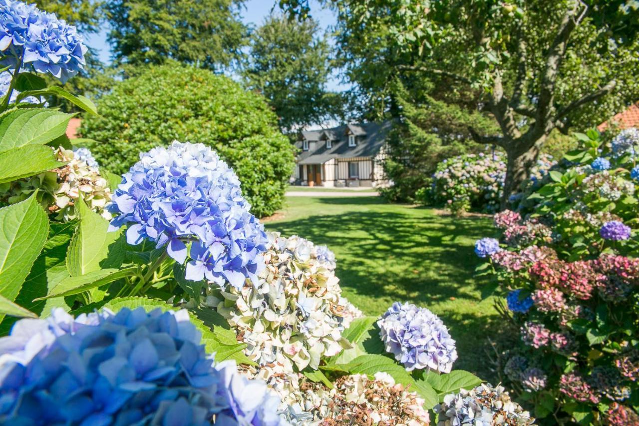 Clos Celeste - Campagne D Etretat Avec Piscine Et Spa Écrainville Exterior foto